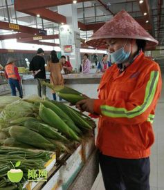 海口责任速开“绿色通道”，25吨暖心水煮玉米定向助农