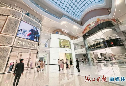首店落户109家 看海口如何打好招商“首店牌”